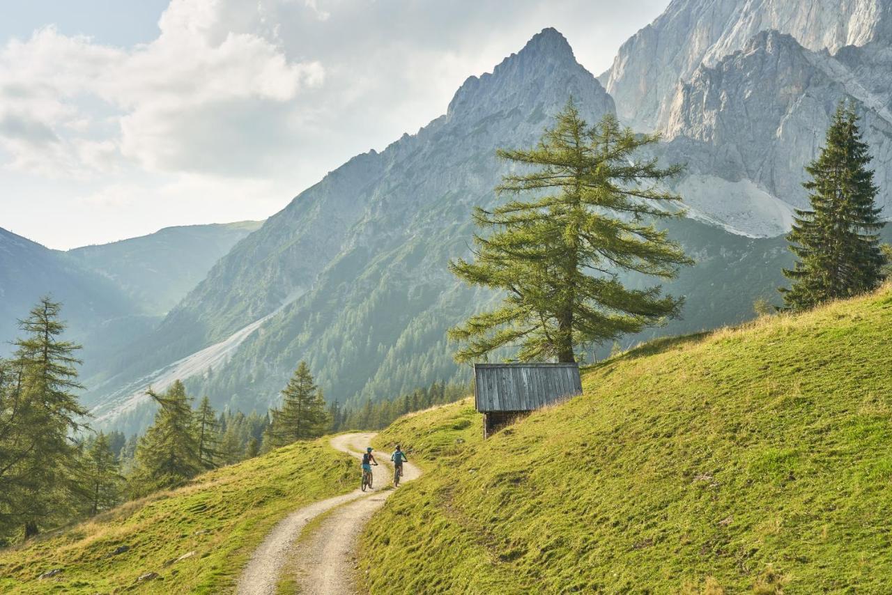 Apartament Adlernest Ramsau am Dachstein Zewnętrze zdjęcie